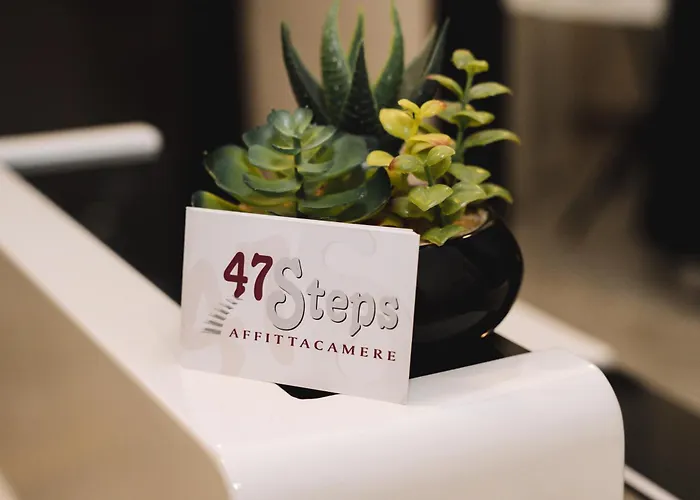 招待所 47 Steps